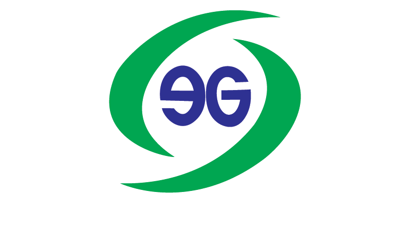 thuexe9g.vn